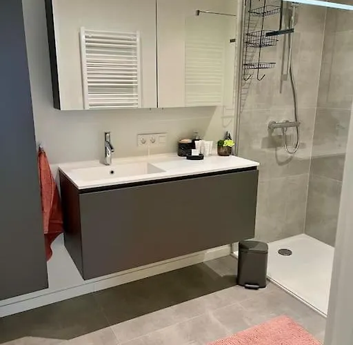 公寓 Deluxe La - Oosteroever 奥斯滕德